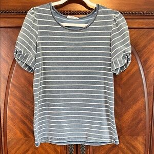 Jane and Delancey Denim Colored Striped Short Sleeve Top